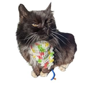 Bandana For Cat Pet Owners